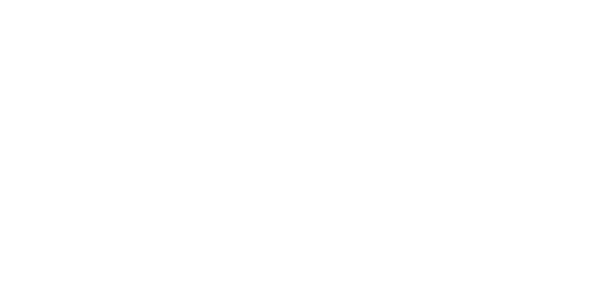 The Spine Nurse logo